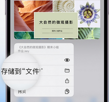 五莲apple维修中心分享iPhone文件应用中存储和找到下载文件