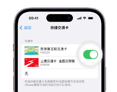 五莲apple维修点分享iPhone上更换Apple Pay快捷交通卡手绘卡面 