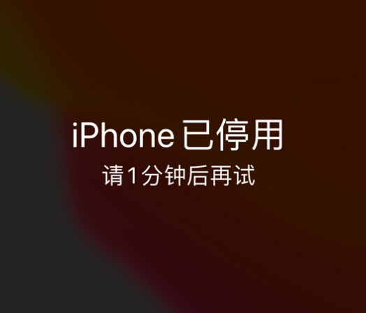 五莲苹果手机维修分享:iPhone 显示“不可用”或“已停用”怎么办？还能保留数据吗？ 