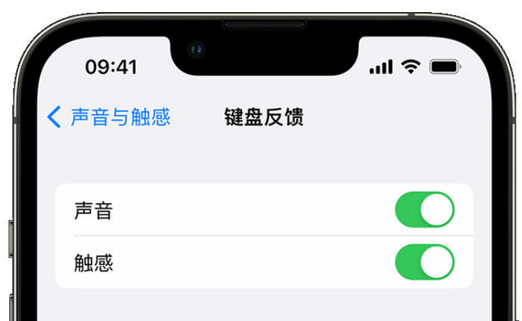 五莲苹果手机维修分享iPhone 14触感键盘使用方法 