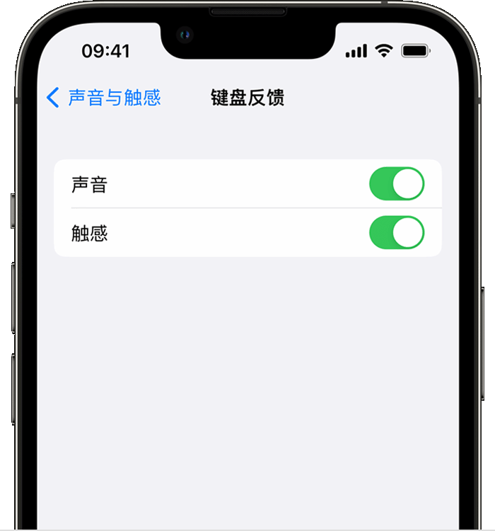 五莲苹果14维修店分享如何在 iPhone 14 机型中使用触感键盘 