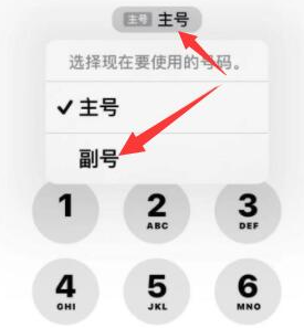 五莲苹果14维修店分享iPhone 14 Pro Max使用副卡打电话的方法 