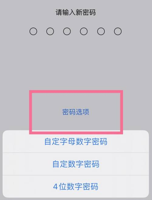 五莲苹果14维修分享iPhone 14plus设置密码的方法 