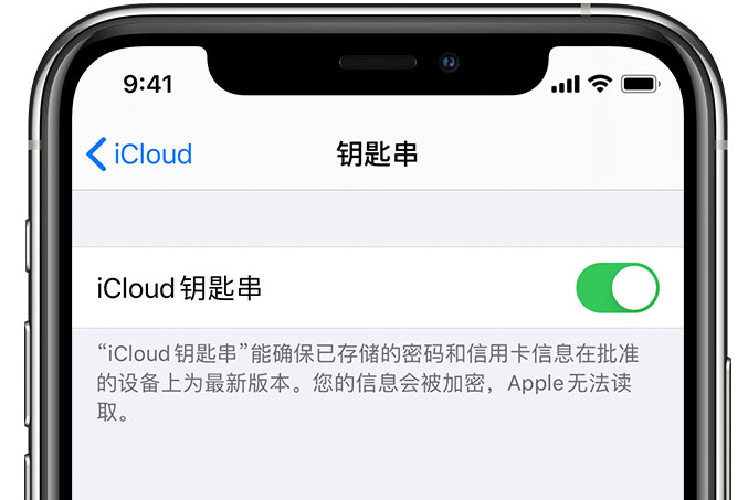 五莲苹果手机维修分享在 iPhone 上开启 iCloud 钥匙串之后会储存哪些信息 